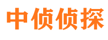 凤泉市侦探调查公司